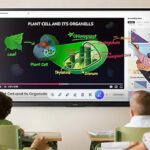 Teacher explains a colorful plant cell diagram on a large display to students in a classroom.
